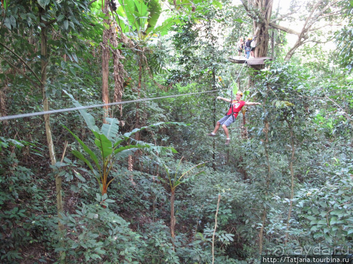 "Полет Гиббона" (Flight of the Gibbon)