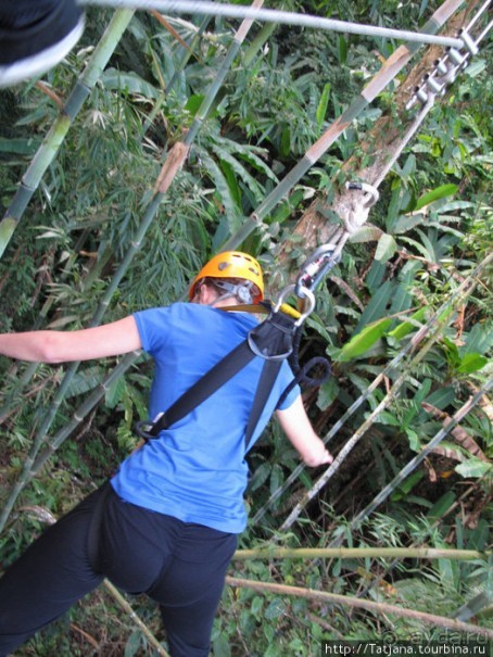 "Полет Гиббона" (Flight of the Gibbon)