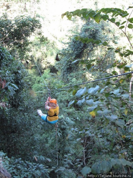 "Полет Гиббона" (Flight of the Gibbon)