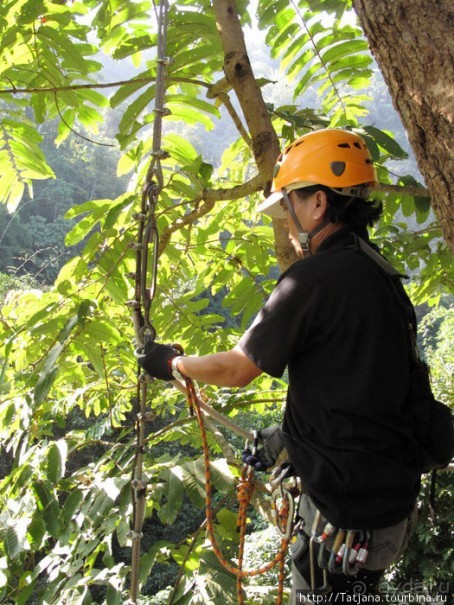 "Полет Гиббона" (Flight of the Gibbon)