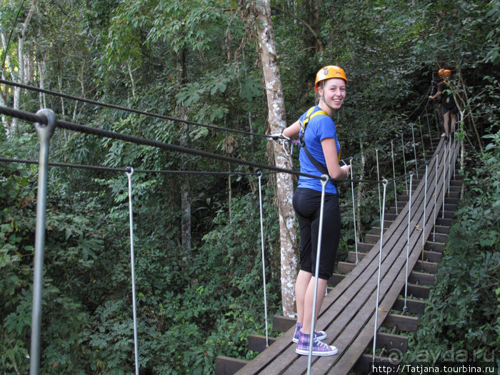 "Полет Гиббона" (Flight of the Gibbon)