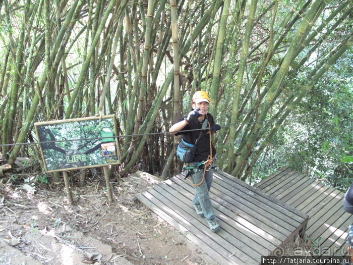 "Полет Гиббона" (Flight of the Gibbon)