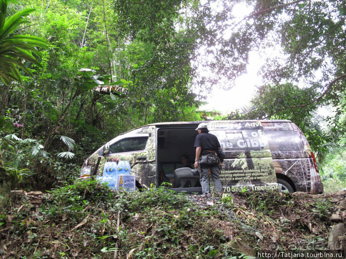 "Полет Гиббона" (Flight of the Gibbon)