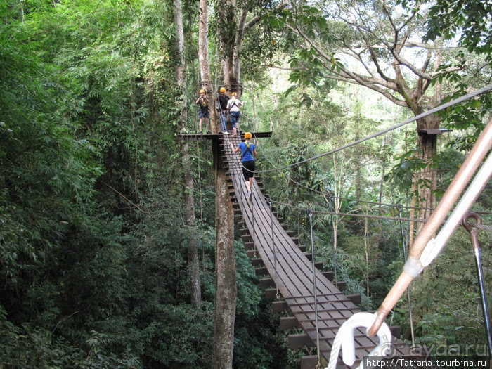 "Полет Гиббона" (Flight of the Gibbon)