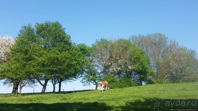 Весенняя прогулка в окресностях Nuth, ручей Aalbeek