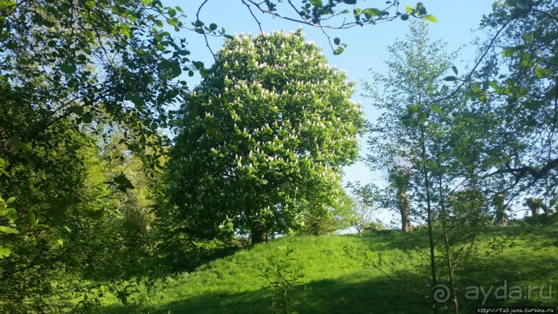 Весенняя прогулка в окресностях Nuth, ручей Aalbeek