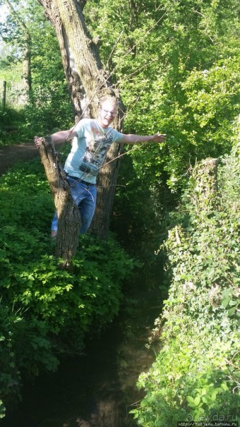 Весенняя прогулка в окресностях Nuth, ручей Aalbeek