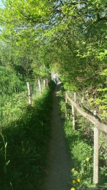 Весенняя прогулка в окресностях Nuth, ручей Aalbeek