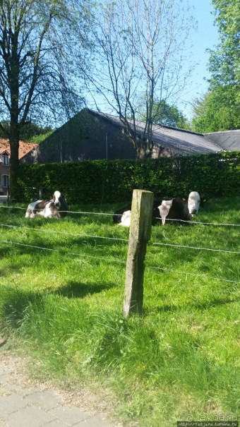 Весенняя прогулка в окресностях Nuth, ручей Aalbeek