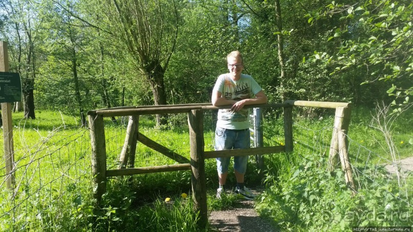 Весенняя прогулка в окресностях Nuth, ручей Aalbeek