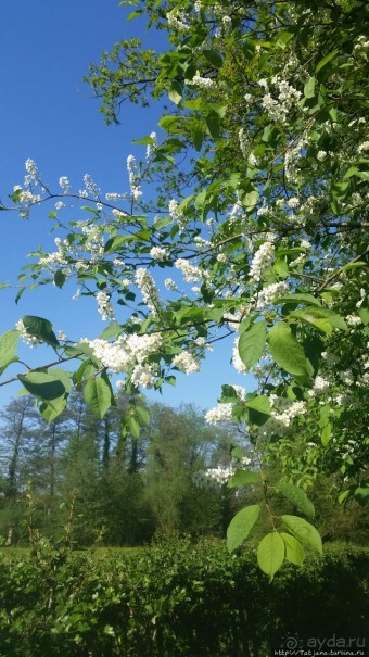Весенняя прогулка в окресностях Nuth, ручей Aalbeek