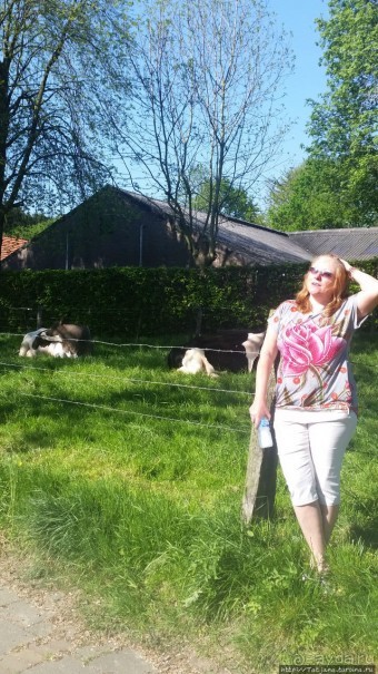 Весенняя прогулка в окресностях Nuth, ручей Aalbeek