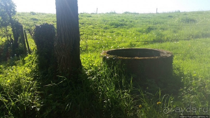 Весенняя прогулка в окресностях Nuth, ручей Aalbeek