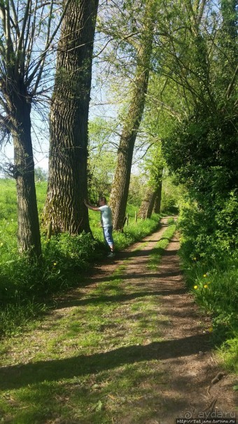 Весенняя прогулка в окресностях Nuth, ручей Aalbeek