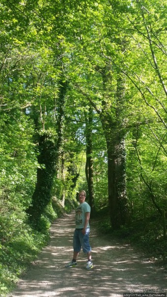 Весенняя прогулка в окресностях Nuth, ручей Aalbeek