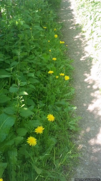 Весенняя прогулка в окресностях Nuth, ручей Aalbeek