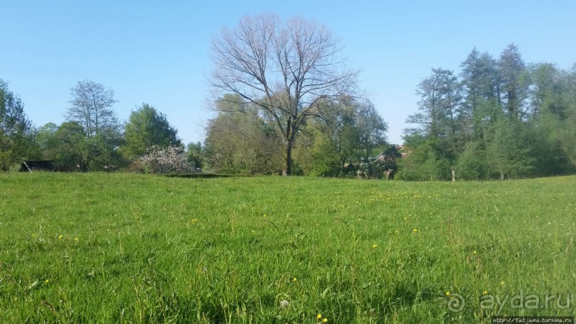 Весенняя прогулка в окресностях Nuth, ручей Aalbeek