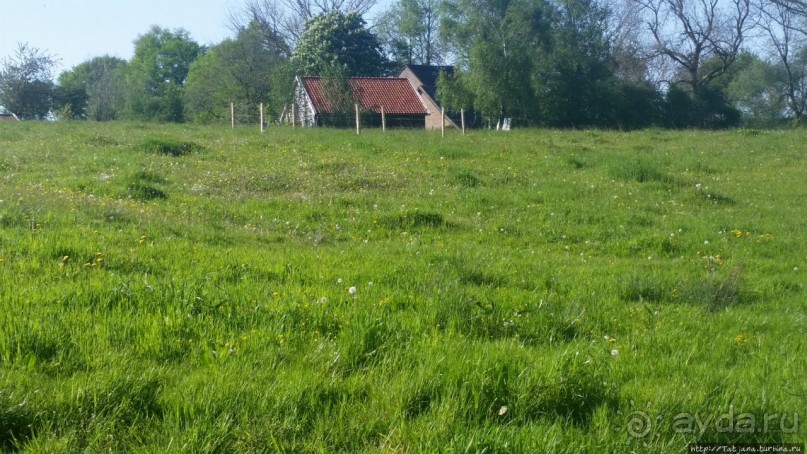 Весенняя прогулка в окресностях Nuth, ручей Aalbeek