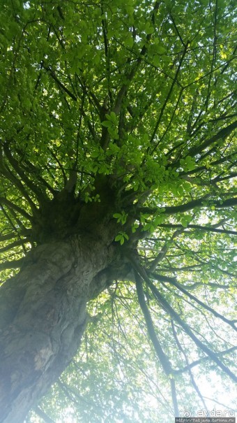 Весенняя прогулка в окресностях Nuth, ручей Aalbeek