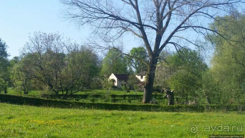 Весенняя прогулка в окресностях Nuth, ручей Aalbeek