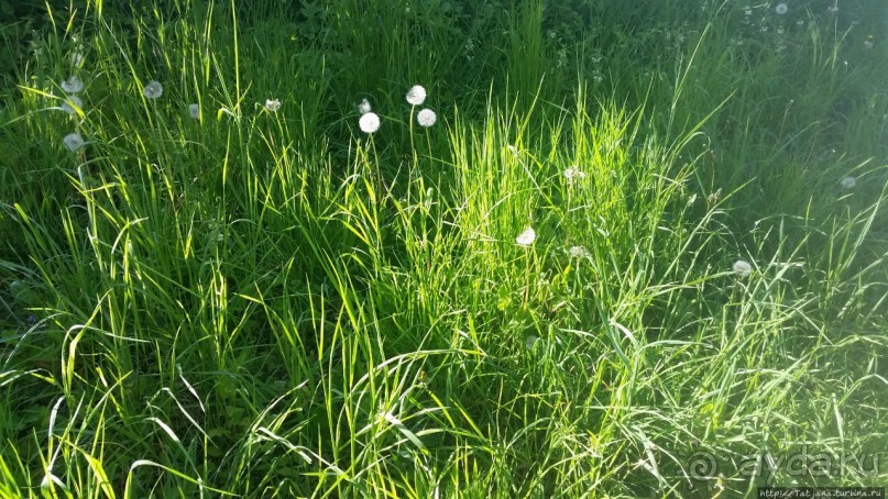 Весенняя прогулка в окресностях Nuth, ручей Aalbeek