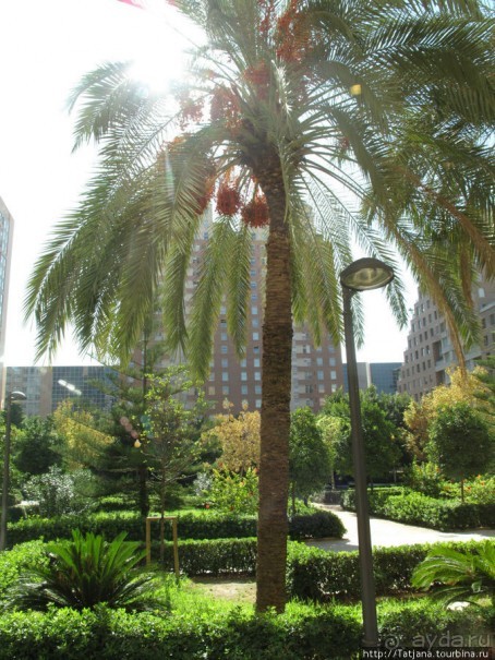 Отель Las Artes