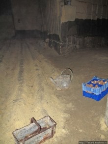 Мергель и шампиньоны из пещер в Канне.