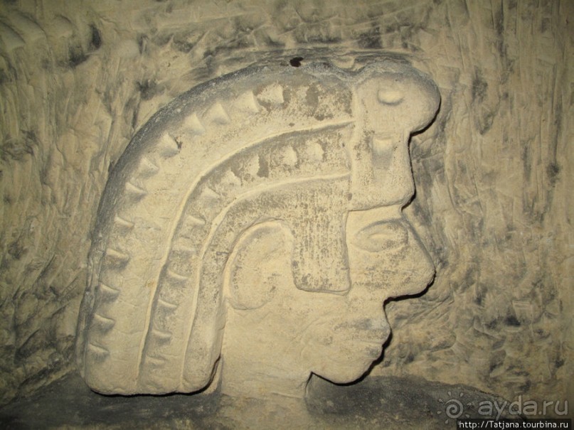 Мергель и шампиньоны из пещер в Канне.