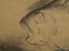 Мергель и шампиньоны из пещер в Канне.