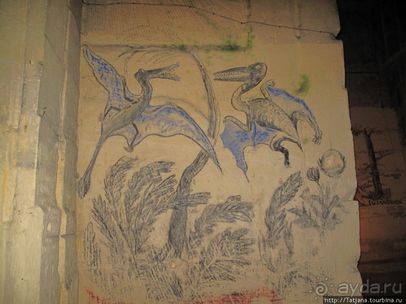 Мергель и шампиньоны из пещер в Канне.