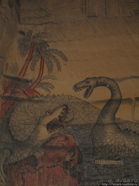 Мергель и шампиньоны из пещер в Канне.