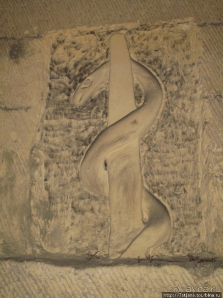 Мергель и шампиньоны из пещер в Канне.