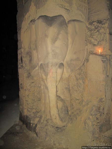 Мергель и шампиньоны из пещер в Канне.