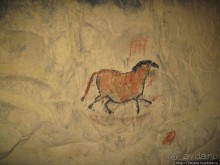 Мергель и шампиньоны из пещер в Канне.