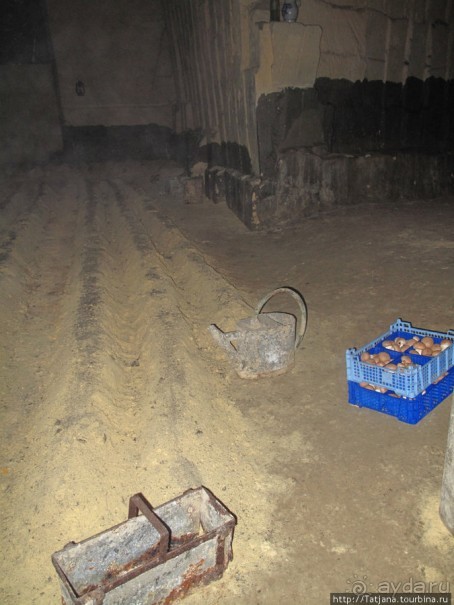 Мергель и шампиньоны из пещер в Канне.