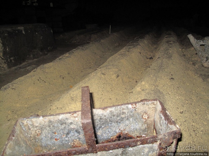 Мергель и шампиньоны из пещер в Канне.