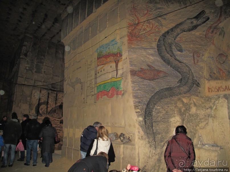 Мергель и шампиньоны из пещер в Канне.