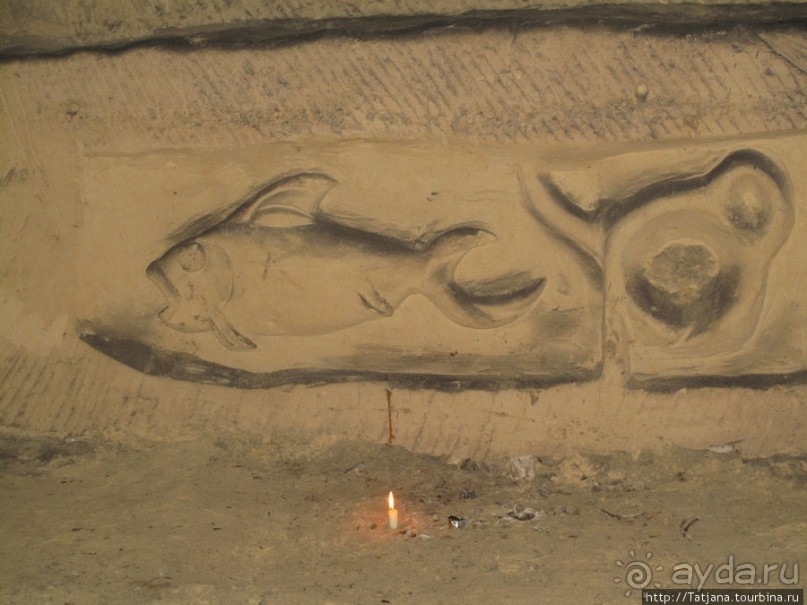 Мергель и шампиньоны из пещер в Канне.