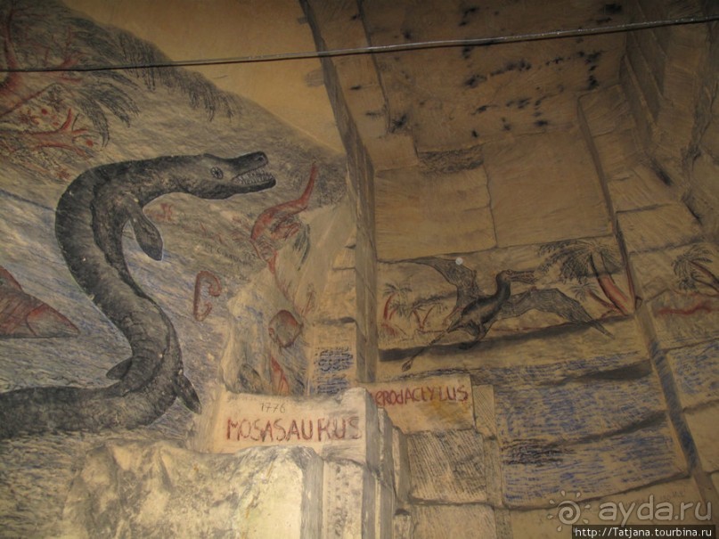 Мергель и шампиньоны из пещер в Канне.