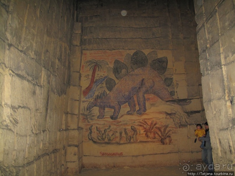 Мергель и шампиньоны из пещер в Канне.