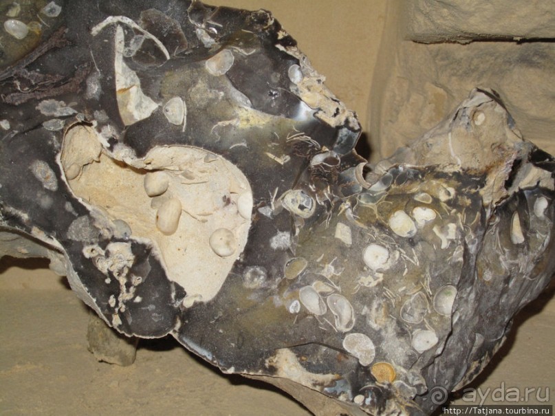 Мергель и шампиньоны из пещер в Канне.