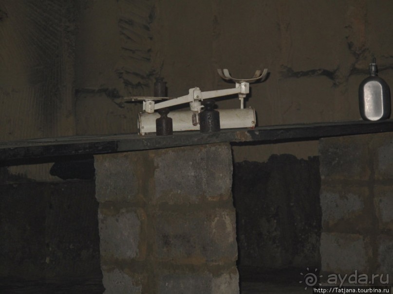 Мергель и шампиньоны из пещер в Канне.