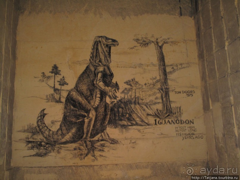 Мергель и шампиньоны из пещер в Канне.