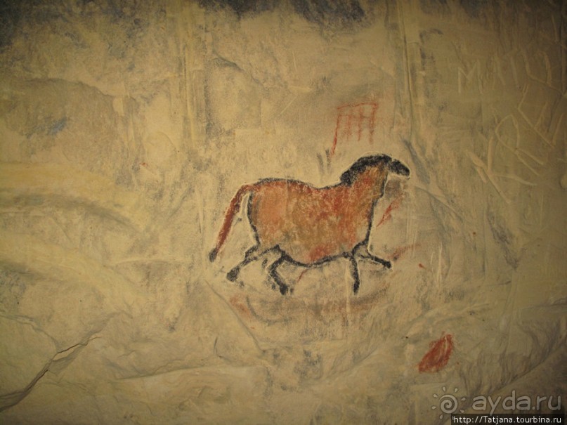 Мергель и шампиньоны из пещер в Канне.