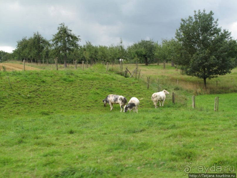 Прокат Мотороллеров Vespa.