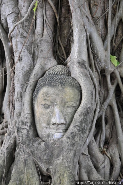 Город Аютия - объект Всемирного наследия ЮНЕСКО