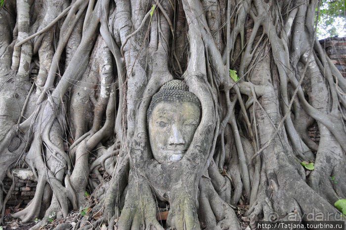 Город Аютия - объект Всемирного наследия ЮНЕСКО