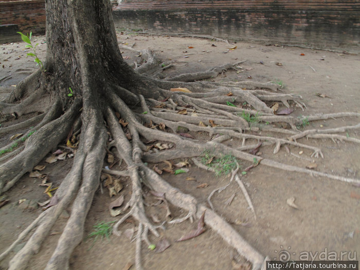 Город Аютия - объект Всемирного наследия ЮНЕСКО