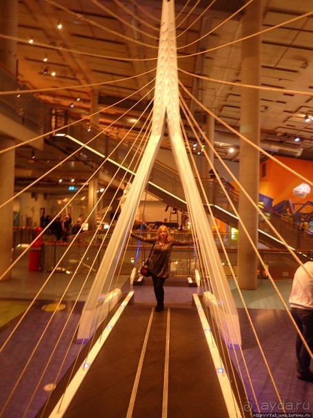 Веселенький и активно-познавательный музей Nemo