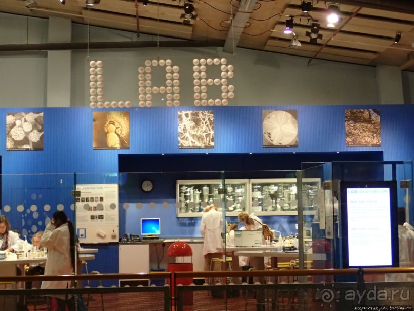 Веселенький и активно-познавательный музей Nemo